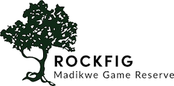 View Rockfig Madikwe